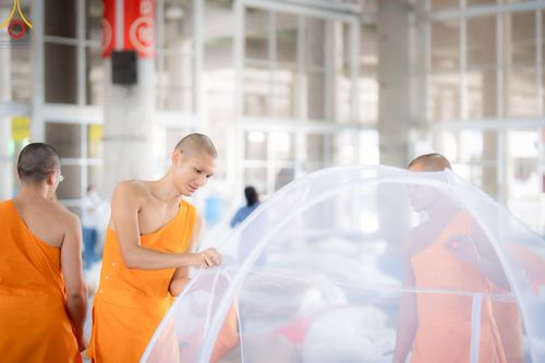 ภาพ No.218255:วันที่ 12-18 เมษายน พ.ศ. 2568 พระภิกษุและเจ้าหน้าที่อาสาสมัคร เตรียมพื้นที่ต้อนรับพักค้างพระสังฆาธิการ เนื่องในงานวันคุ้มครองโลก 22 เมษายน พ.ศ. 2568