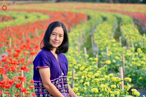 ภาพ No.104321:บรรยากาศ ทุ่งดอกทรัพย์บานชื่น ณ สวนพนาวัฒน์ อ.ฮอด จ.เชียงใหม่ ช่วงระหว่างวันที่ 20 - 25 ธันวาคม พ.ศ. 2566