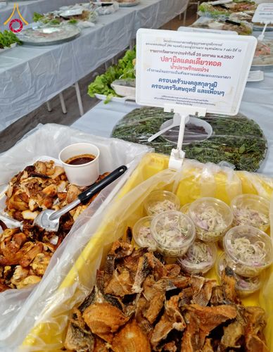 ภาพ No.118789:พิธีถวายภัตตาหารเป็นสังฆทาน แด่คณะพระธรรมยาตรา วันที่ 25 มกราคม พ.ศ. 2567 ณ อนุสรณ์สถานบางนางแท่น จ.นครปฐม