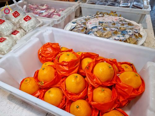 ภาพ No.202370:พิธีถวายภัตตาหารเป็นสังฆทาน แด่พระธรรมยาตรา ณ วัดพระธรรมกาย ตำบลคลองสาม อำเภอคลองหลวง จังหวัดปทุมธานี ในโครงการธรรมยาตรา กตัญญูบูชา มหาปูชนียาจารย์ พระมงคลเทพมุนี(สด จนฺทสโร) พระผู้ปราบมาร อนุสรณ์สถาน 7 แห่ง ปีที่ 13 วันที่ 27 มกราคม พ.ศ. 2568