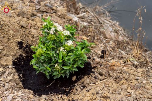 ภาพ No.238606:วันอาทิตย์ที่ 17 สิงหาคม พ.ศ. 2568 พิธีทอดผ้าป่าบำรุงศูนย์อบรมเยาวชนนครปฐม ครบรอบ 14 ปี และพิธีปลูกต้นไม้รอบสระเศรษฐี ณ ศูนย์อบรมเยาวชนนครปฐม