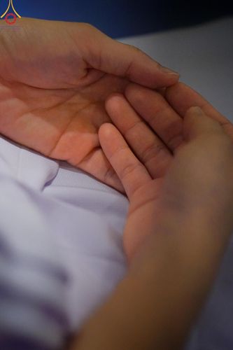 ภาพ No.154880:พิธีจุดประทีป, พิธีฉลองชัยสวดมนต์บทธัมมจักกัปปวัตนสูตร ณ มหารัตนวิหารคด วัดพระธรรมกาย วันอังคารที่ 17 กันยายน พ.ศ. 2567