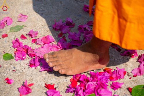 ภาพ No.315777:วันอังคารที่ 24 มีนาคม พ.ศ.2569 ธรรมยาตราจาริก ณ ป่ามหาวัน ประเทศเนปาล