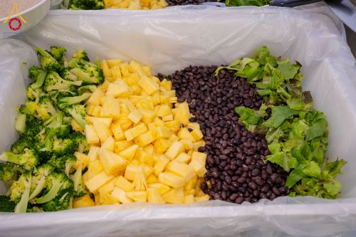 ภาพ No.293552:วันที่ 13 มกราคม พ.ศ. 2569 พิธีถวายภัตตาหารเป็นสังฆทาน แด่พระธรรมยาตรา ณ อนุสรณ์สถานมหาวิหารพระมงคลเทพมุนี (โลตัสแลนด์) อ.สองพี่น้อง จ.สุพรรณบุรี ในโครงการธรรมยาตรา กตัญญูบูชา มหาปูชนียาจารย์ พระมงคลเทพมุนี(สด จนฺทสโร) พระผู้ปราบมาร อนุสรณ์สถาน 7 แห่ง ปี