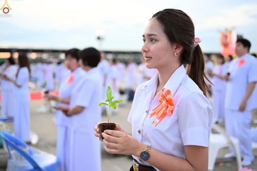 ภาพ No.252871:วันที่ 10 ตุลาคม พ.ศ. 2568 พิธีปลูกต้นทรัพย์บานชื่น ณ ลานธรรม วัดพระธรรมกาย