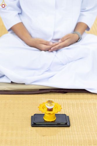 ภาพ No.240618:วันพุธที่ 27 สิงหาคม พ.ศ. 2568 พิธีปฏิบัติธรรมภาคสาย ในวันธรรมชัย ณ วัดพระธรรมกาย จ.ปทุมธานี