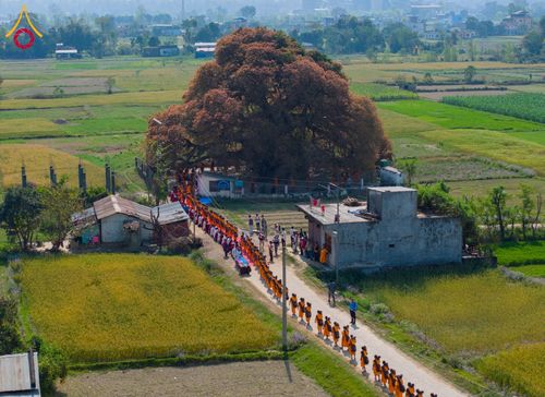 ภาพ No.132312:พิธีจุดโคมประทีปถวายเป็นพุทธบูชา ในโครงการบรรพชา 1,250 รูป ณ แดนประสูติ สวนลุมพินี ประเทศเนปาล วันที่ 17 มีนาคม พ.ศ. 2567