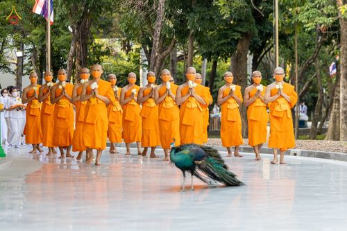 ภาพ No.80678:พิธีอุปสมบทสามเณรเตรียม DCI รุ่นที่20 จำนวน 15 รูป ณ อุโบสถพระไตรปิฎก วัดพระธรรมกาย วันเสาร์ที่ 6 พฤษภาคม พ.ศ. 2566