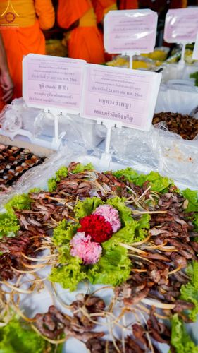 ภาพ No.74046:พิธีถวายภัตตาหารเป็นสังฆทาน แด่คณะพระธรรมยาตราฯ ในโครงการธรรมยาตรากตัญญูบูชา มหาปูชนียาจารย์ พระมงคลเทพมุนี(สด จนฺทสโร) พระผู้ปราบมาร อนุสรณ์สถาน 7 แห่ง ปีที่ 11 วันที่ 24 มกราคม พ.ศ. 2566