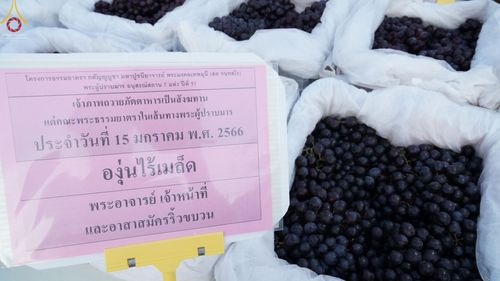 ภาพ No.71360:พิธีถวายภัตตาหารเป็นสังฆทาน แด่คณะพระธรรมยาตราฯ ในโครงการธรรมยาตรากตัญญูบูชา มหาปูชนียาจารย์ พระมงคลเทพมุนี(สด จนฺทสโร) พระผู้ปราบมาร อนุสรณ์สถาน 7 แห่ง ปีที่ 11 วันที่ 15 มกราคม พ.ศ. 2566