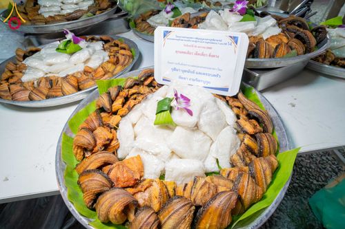 ภาพ No.297914:วันที่ 19 มกราคม พ.ศ. 2569 พิธีถวายภัตตาหารเป็นสังฆทาน แด่พระธรรมยาตรา ณ อนุสรณ์สถานบางปลา วัดบางปลา อำเภอบางเลน จังหวัดนครปฐม ในโครงการธรรมยาตรา กตัญญูบูชา มหาปูชนียาจารย์ พระมงคลเทพมุนี(สด จนฺทสโร) พระผู้ปราบมาร อนุสรณ์สถาน 7 แห่ง ปีที่ 14