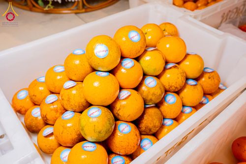 ภาพ No.306349:วันที่ 30 มกราคม พ.ศ. 2569 พิธีถวายภัตตาหารเป็นสังฆทาน แด่พระธรรมยาตรา ณ วัดพระธรรมกาย  จังหวัดปทุมธานี ในโครงการธรรมยาตรา กตัญญูบูชา มหาปูชนียาจารย์ พระมงคลเทพมุนี(สด จนฺทสโร) พระผู้ปราบมาร อนุสรณ์สถาน 7 แห่ง ปีที่ 14