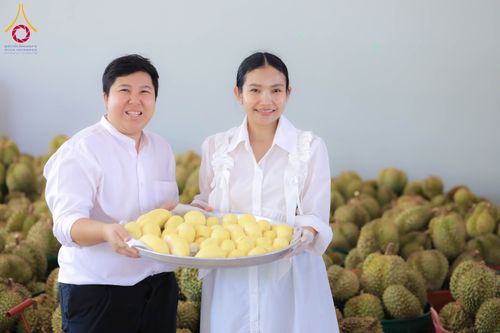 ภาพ No.323601:วันที่ 21 เมษายน 2569 ปอกทุเรียน 26 ตัน 75,000 กล่อง เตรียมงานถวายสังฆทาน40000กว่าวัดทั่วประเทศ