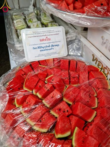 ภาพ No.116363:พิธีถวายภัตตาหารเป็นสังฆทาน แด่คณะพระธรรมยาตรา ปีที่ 12 วันที่ 21 มกราคม พ.ศ. 2567 ณ วัดโบสถ์(บน) บางคูเวียง จ.นนทบุรี