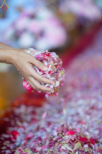 ภาพ No.120096:พิธีต้อนรับพระธรรมยาตรา ในโครงการธรรมยาตรา กตัญญูบูชา มหาปูชนียาจารย์ พระมงคลเทพมุนี(สด จนฺทสโร) พระผู้ปราบมาร อนุสรณ์สถาน 7 แห่ง ปีที่ 12 วันที่ 28 มกราคม พ.ศ. 2567 ณ วัดพระธรรมกาย จ.ปทุมธานี