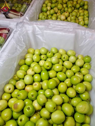 ภาพ No.202765:พิธีถวายภัตตาหารเป็นสังฆทาน แด่พระธรรมยาตรา ณ วัดพระธรรมกาย ตำบลคลองสาม อำเภอคลองหลวง จังหวัดปทุมธานี ในโครงการธรรมยาตรา กตัญญูบูชา มหาปูชนียาจารย์ พระมงคลเทพมุนี(สด จนฺทสโร) พระผู้ปราบมาร อนุสรณ์สถาน 7 แห่ง ปีที่ 13 วันที่ 28 มกราคม พ.ศ. 2568