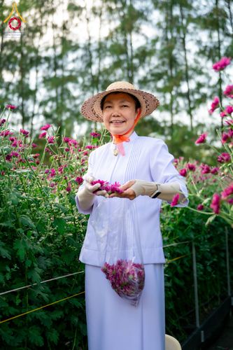 ภาพ No.285341:วันพุธที่ 10 ธันวาคม พ.ศ.2568  การเตรียมความพร้อมในโครงการธรรมยาตรา กตัญญูบูชา มหาปูชนียาจารย์ พระมงคลเทพมุนี(สด จนฺทสโร) พระผู้ปราบมาร อนุสรณ์สถาน 7 แห่ง ปีที่ 14 เก็บดอกเบญจทรัพย์ ณ วัดพระธรรมกาย