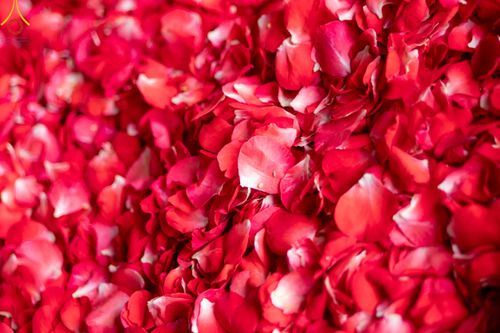 ภาพ No.120094:พิธีต้อนรับพระธรรมยาตรา ในโครงการธรรมยาตรา กตัญญูบูชา มหาปูชนียาจารย์ พระมงคลเทพมุนี(สด จนฺทสโร) พระผู้ปราบมาร อนุสรณ์สถาน 7 แห่ง ปีที่ 12 วันที่ 28 มกราคม พ.ศ. 2567 ณ วัดพระธรรมกาย จ.ปทุมธานี