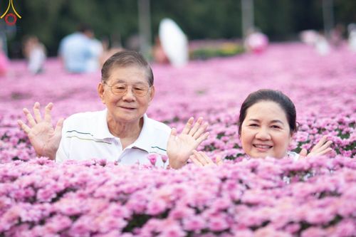 ภาพ No.102897:สาธุชนร่วมรับบุญเก็บดอกเบญจทรัพย์ ในวันที่ 19 ธันวาคม พ.ศ. 2566 (วันแรก) ณ บริเวณวัดพระธรรมกาย จ.ปทุมธานี