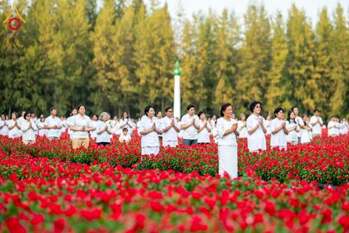 ภาพ No.185442:กิจกรรมเก็บดอกแพงรวย วันอาทิตย์ที่ 22 ธันวาคม พ.ศ. 2567 ณ ทุ่งสวรรค์ ตะวันฉาย วัดพระธรรมกาย