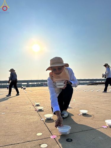 ภาพ No.59616:V.39 ทุ่มสุดใจ ธรรมชัย 80 ปี การเตรียมงาน การปฏิบัติงาน ของเจ้าหน้าที่หน่วยงานต่างๆ เพื่อพิธีฉลองอายุวัฒนมงคล 80 ปี หลวงพ่อธัมมชโย และรับถวายมหาสังฆทาน 10,000 กว่าวัดทั่วประเทศ ในวันคุ้มครองโลก จันทร์ที่ 22 เมษายน พ.ศ. 2567