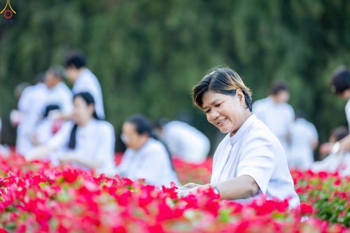 ภาพ No.281005:วันที่ 28 ธันวาคม พ.ศ.2568 กิจกรรมเก็บดอกแพงรวย ณ ทุ่งสวรรค์ตะวันฉาย วัดพระธรรมกาย