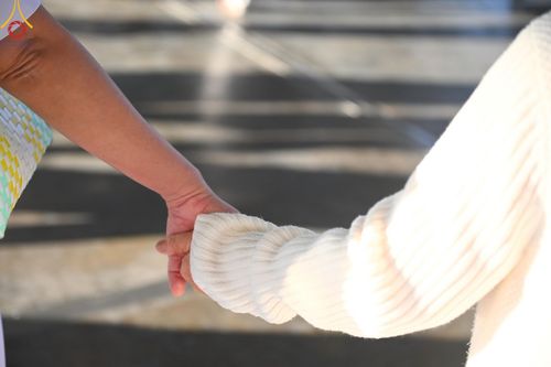 ภาพ No.187927:พิธีตักบาตรฉลองพระใหม่ ต้อนรับพุทธศักราช 2568 ณ ลานธรรมพระมหาธรรมกายเจดีย์ วัดพระธรรมกาย จ.ปทุมธานี วันที่ 1 มกราคม พ.ศ. 2568