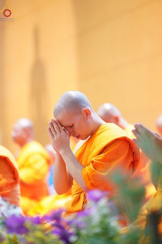 ภาพ No.207425:พิธีตักบาตร และปฏิบัติธรรมช่วงสาย ในวันมาฆบูชา วันพุธที่ 12 กุมภาพันธ์ พ.ศ. 2568 ณ วัดพระธรรมกาย จังหวัดปทุมธานี