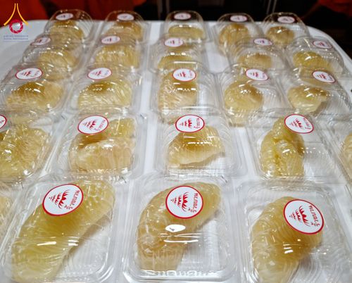 ภาพ No.121292:พิธีถวายภัตตาหารเป็นสังฆทาน แด่คณะพระธรรมยาตราฯ ในโครงการธรรมยาตรากตัญญูบูชา มหาปูชนียาจารย์ พระมงคลเทพมุนี(สด จนฺทสโร) พระผู้ปราบมาร อนุสรณ์สถาน 7 แห่ง ปีที่ 12 วันที่ 30 มกราคม พ.ศ. 2567 ณ สภาธรรมกายสากล วัดพระธรรมกาย