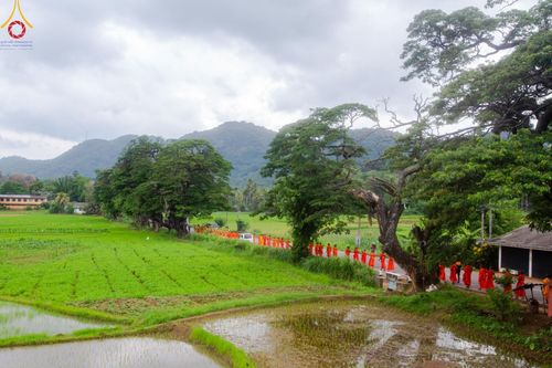 ภาพ No.140176:PhotoStory มหาศรัทธา ธรรมยาตราศรีลังกา EP.3  โครงการสยาม-ลังกา ธรรมยาตรา ฉลองเทศกาลวิสาขบูชาแห่งชาติ ศรีลังกา  บูชาธรรม 80 ปีหลวงพ่อธัมมชโย เส้นทางจาก เมืองดัมบูลลา ไปยัง เมืองมาตะเล  ตั้งแต่วันที่ 17-20 พฤษภาคม พ.ศ. 2567