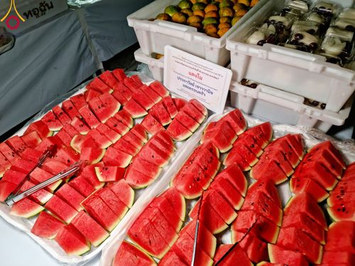 ภาพ No.114517:พิธีถวายภัตตาหารเป็นสังฆทาน แด่คณะพระธรรมยาตรา ปีที่ 12 วันที่ 18 มกราคม พ.ศ. 2567 ณ วัดโบสถ์(บน) บางคูเวียง จ.นนทบุรี