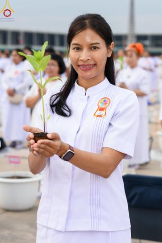 ภาพ No.160459:พิธีปลูกต้นทรัพย์บานชื่น ณ ลานธรรม พระมหาธรรมกายเจดีย์ วัดพระธรรมกาย จ.ปทุมธานี วันพฤหัสบดีที่ 10 ตุลาคม พ.ศ. 2567