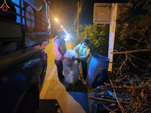 ภาพ No.116989:V.16 เป็นทีม การเตรียมงาน เก็บงาน การรับบุญของเจ้าหน้าที่หน่วยงานต่างๆ เพื่อโครงการธรรมยาตรา กตัญญูบูชามหาปูชนียาจารย์ พระมงคลเทพมุนี (สด จนฺทสโร) พระผู้ปราบมาร อนุสรณ์สถาน 7 แห่ง ปีที่ 12 ระหว่างวันที่ 2 - 31 มกราคม พ.ศ. 2567