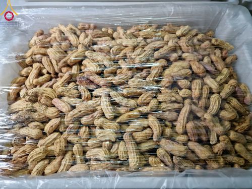 ภาพ No.113666:พิธีถวายภัตตาหารเป็นสังฆทาน แด่คณะพระธรรมยาตรา ปีที่ 12 วันที่ 17 มกราคม พ.ศ. 2567 ณ วัดโบสถ์(บน) บางคูเวียง จ.นนทบุรี