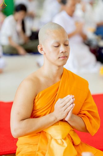 ภาพ No.227737:วันเสาร์ที่ 31 พฤษภาคม พ.ศ.2568 พิธีถวายผ้าไตรแด่สามเณรผู้เข้ารับการอุปสมบท , พิธีอุปสมบทสามเณรเตรียม DCI วัดพระธรรมกาย จ.ปทุมธานี