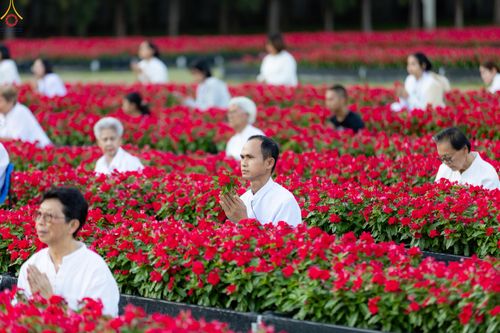 ภาพ No.280901:วันที่ 28 ธันวาคม พ.ศ.2568 กิจกรรมเก็บดอกแพงรวย ณ ทุ่งสวรรค์ตะวันฉาย วัดพระธรรมกาย