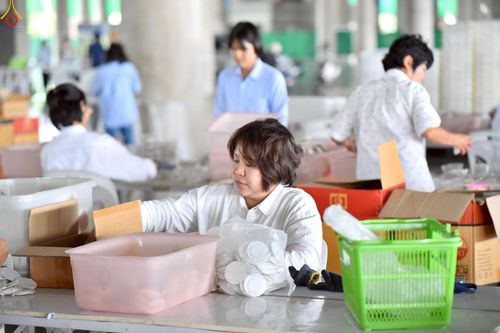 ภาพ No.239955:วันที่ 20-23 สิงหาคม พ.ศ. 2568 การเตรียมงานวันธรรมชัย ใส่ถ่านประทีป LED ที่วิหารคด 7 และ 25 วัดพระธรรมกาย