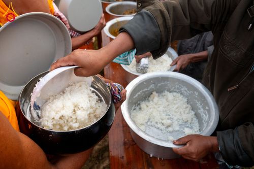 ภาพ No.130945:Photo Story ปฐมบรรพชาชาวพุทธมาร์มา Episode 4/5 วันที่ 13 กุมภาพันธ์พ.ศ. 2567 ณ วัดธัมจักร อรัญกุฏิ บังกลาเทศ