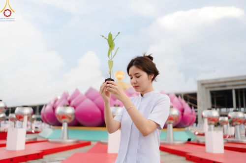 ภาพ No.160394:พิธีปลูกต้นทรัพย์บานชื่น ณ ลานธรรม พระมหาธรรมกายเจดีย์ วัดพระธรรมกาย จ.ปทุมธานี วันพฤหัสบดีที่ 10 ตุลาคม พ.ศ. 2567