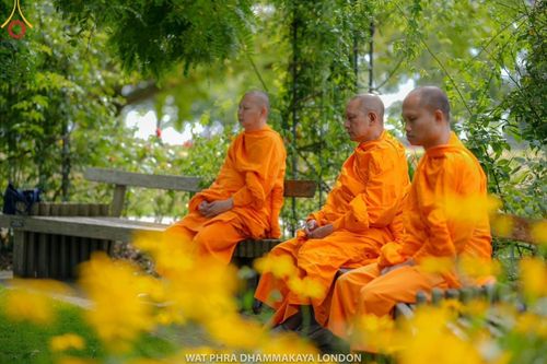 ภาพ No.151565:คณะสงฆ์และสาธุชน วัดพระธรรมกายลอนดอน ได้จัดปฎิบัติธรรมบูชาธรรม 80 ปี หลวงพ่อธัมมชโย เนื่องในวันธรรมชัย ระหว่างวันที่ 24-27 สิงหาคม พ.ศ. 2567