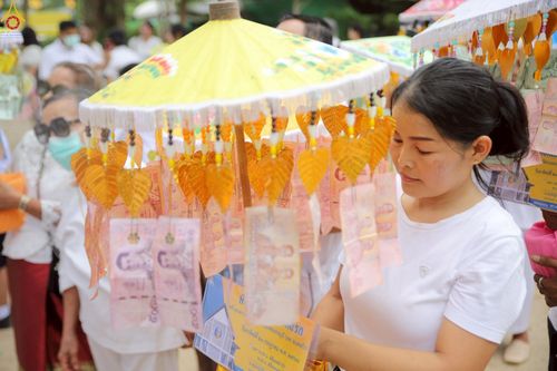 ภาพ No.234047:วันอาทิตย์ที่ 20 กรกฎาคม พ.ศ.2568 พิธีทอดผ้าป่า และพิธีตอกเสาเข็มต้นแรก สร้างอาคารปฏิบัติธรรมพระมงคลเทพมุนี ณ ศูนย์ปฏิบัติธรรมสุราษฏร์ธานี