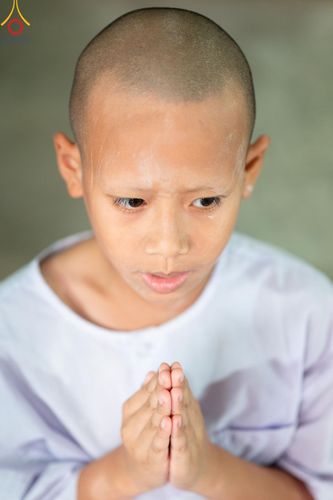 ภาพ No.133648:นาคธรรมทายาทปฏิบัติธรรมก่อนบวช ในโครงการบรรพชาสามเณร ฟื้นฟูพระพุทธศาสนาทั่วไทย ศูนย์อบรมวัดพระธรรมกาย วันที่ 3 เมษายน พ.ศ. 2567