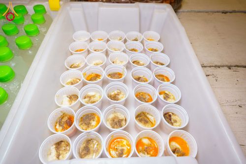 ภาพ No.303154:วันที่ 26 มกราคม พ.ศ. 2569 พิธีถวายภัตตาหารเป็นสังฆทาน แด่พระธรรมยาตรา ณ วัดพระธรรมกาย  จังหวัดปทุมธานี ในโครงการธรรมยาตรา กตัญญูบูชา มหาปูชนียาจารย์ พระมงคลเทพมุนี(สด จนฺทสโร) พระผู้ปราบมาร อนุสรณ์สถาน 7 แห่ง ปีที่ 14