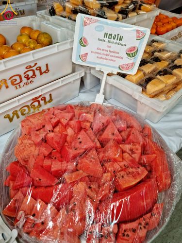 ภาพ No.113024:พิธีถวายภัตตาหารเป็นสังฆทาน แด่คณะพระธรรมยาตรา ปีที่ 12 วันที่ 16 มกราคม พ.ศ. 2567 ณ วัดโบสถ์(บน) บางคูเวียง จ.นนทบุรี