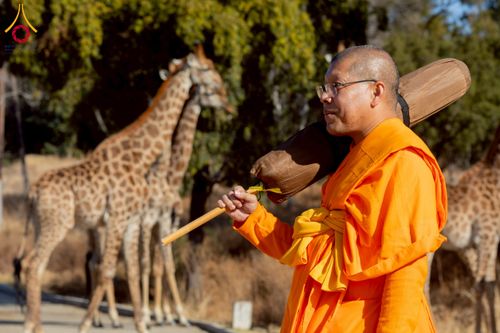 ภาพ No.232887:วันที่ 1 กรกฏาคม พ.ศ. 2568 Dhammayatra in South Africa 2025 ธรรมยาตราแอฟริกาใต้ — เส้นทางแห่งสติ สมาธิ และปัญญา ธรรมทายาทที่ได้อบรมโครงการบรรพชาอุปสมบทหมู่ครั้งที่ 2 ณ วัดพระธรรมกายโจฮันเนสเบิร์ก ประเทศแอฟริกาใต้