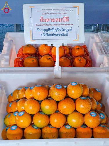 ภาพ No.193642:สาธุชนถวายภัตตาหารเป็นสังฆทาน แด่พระธรรมยาตรา ณ อนุสรณ์สถานคลองบางนางแท่น อ.สามพราน จ.นครปฐม ในโครงการธรรมยาตรา กตัญญูบูชา มหาปูชนียาจารย์ พระมงคลเทพมุนี(สด จนฺทสโร) พระผู้ปราบมาร อนุสรณ์สถาน 7 แห่ง ปีที่ 13 วันที่ 11 มกราคม พ.ศ. 2568