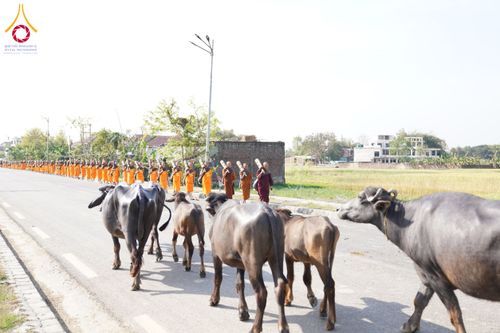 ภาพ No.132087:พิธีต้อนรับ พระ-สามเณร ธรรมยาตรา ในโครงการบรรพชา 1,250 รูป ณ แดนประสูติ สวนลุมพินี ประเทศเนปาล วันที่ 16-17 มีนาคม พ.ศ. 2567