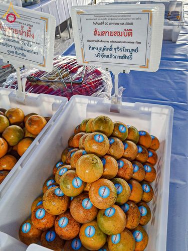 ภาพ No.198372:พิธีถวายภัตตาหารเป็นสังฆทาน แด่พระธรรมยาตรา ณ อนุสรณ์สถานบางปลา วัดบางปลา อำเภอบางเลน จังหวัดนครปฐม ในโครงการธรรมยาตรา กตัญญูบูชา มหาปูชนียาจารย์ พระมงคลเทพมุนี(สด จนฺทสโร) พระผู้ปราบมาร อนุสรณ์สถาน 7 แห่ง ปีที่ 13 วันที่ 20 มกราคม พ.ศ. 2568