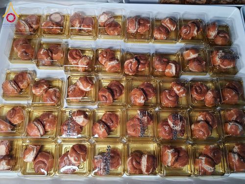 ภาพ No.199413:พิธีถวายภัตตาหารเป็นสังฆทาน แด่พระธรรมยาตรา ณ อนุสรณ์สถานบางปลา วัดบางปลา อำเภอบางเลน จังหวัดนครปฐม ในโครงการธรรมยาตรา กตัญญูบูชา มหาปูชนียาจารย์ พระมงคลเทพมุนี(สด จนฺทสโร) พระผู้ปราบมาร อนุสรณ์สถาน 7 แห่ง ปีที่ 13 วันที่ 22 มกราคม พ.ศ. 2568