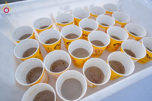 ภาพ No.288317:วันที่ 5 มกราคม พ.ศ. 2569 พิธีถวายภัตตาหารเป็นสังฆทาน แด่พระธรรมยาตรา ในโครงการธรรมยาตรา กตัญญูบูชา มหาปูชนียาจารย์ พระมงคลเทพมุนี(สด จนฺทสโร) พระผู้ปราบมาร อนุสรณ์สถาน 7 แห่ง ปีที่ 14 ณ อนุสรณ์สถานมหาวิหารพระมงคลเทพมุนี (โลตัสแลนด์) อ.สองพี่น้อง จ.สุพรร